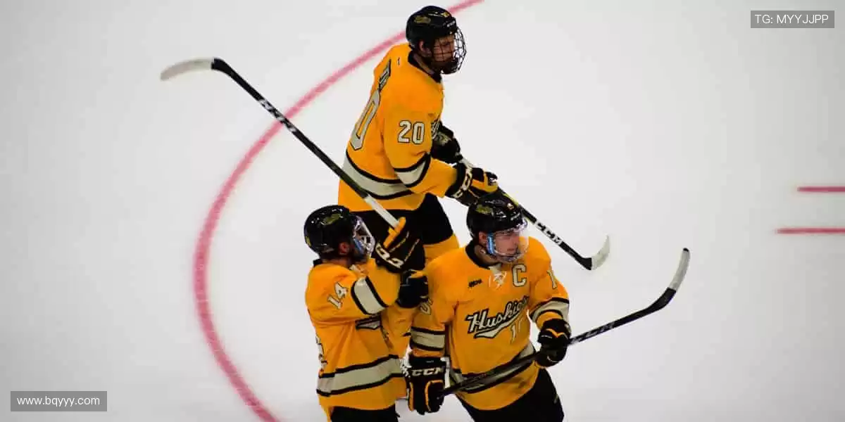 🏀 体育社区，球迷家园！分享你的激情，结交同好👥💬